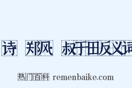 诗·郑风·叔于田反义词是什么意思的图片